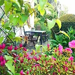 Garni Zur Traube Hotel