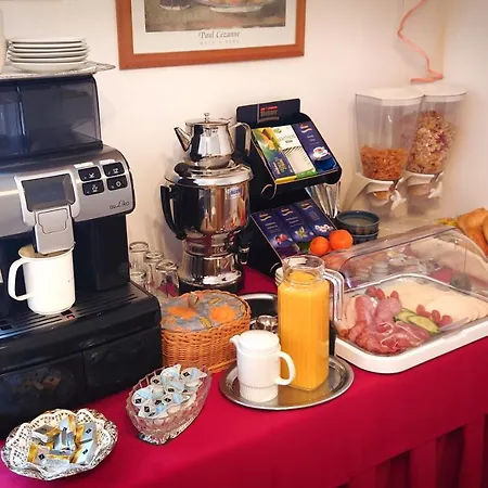 Garni Zur Traube Hotel Höhr-Grenzhausen