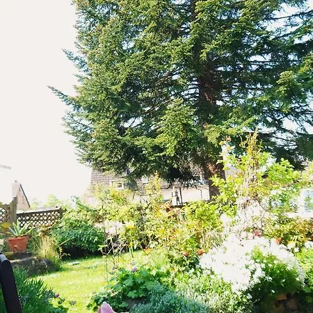 Hotel Garni Zur Traube *