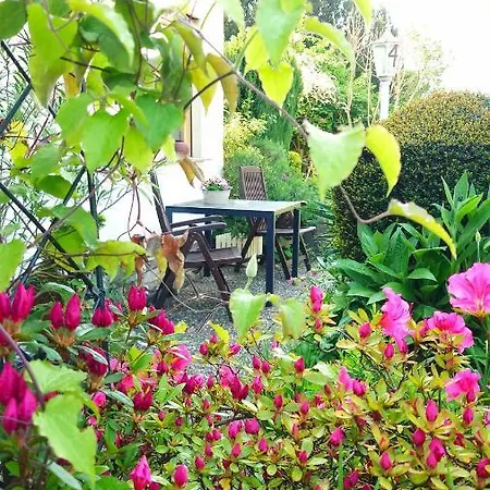 Garni Zur Traube Hotel