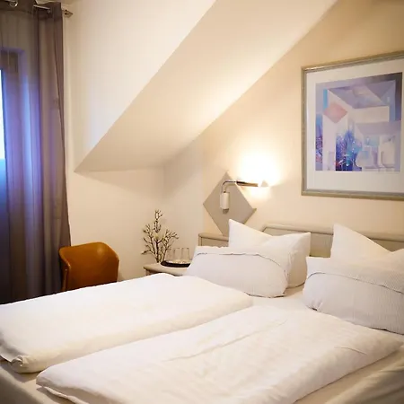 Hotel Garni Zur Traube Höhr-Grenzhausen