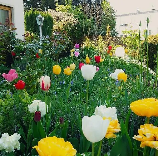 Hotel Garni Zur Traube