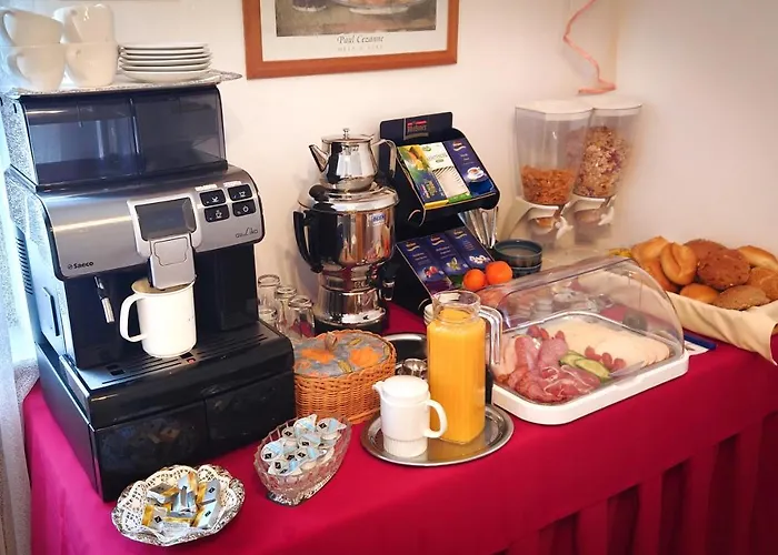 Garni Zur Traube Hotel Höhr-Grenzhausen