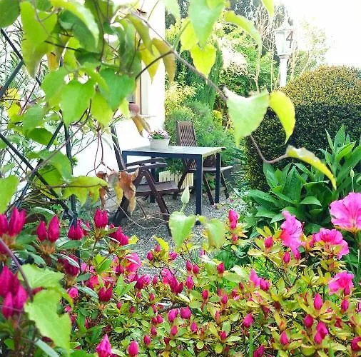 Garni Zur Traube Hotel